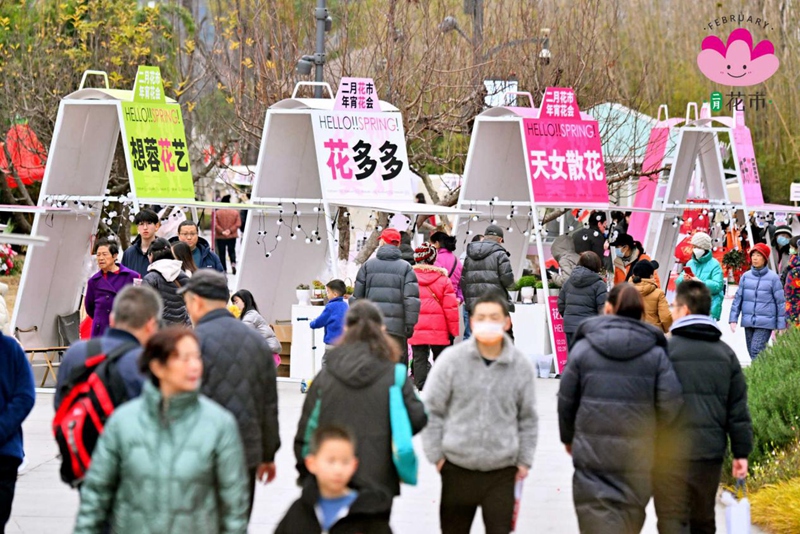 亮点纷呈！2024年成都“二月花市 年宵花会”正火热